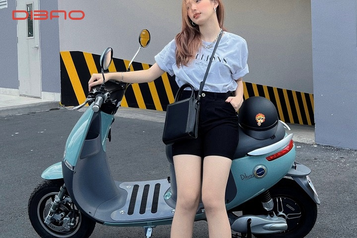 Xe điện nhỏ gọn Dibao GOGO SS