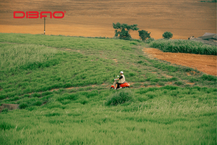 Kỹ năng lái xe trên các tuyến đường có địa hình không thuận lợi