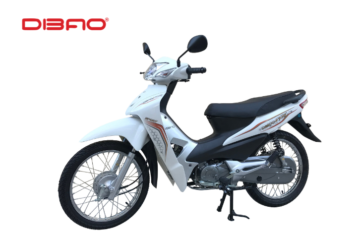 DIBAO RS là một mẫu xe máy số 50cc được nhiều người yêu thích