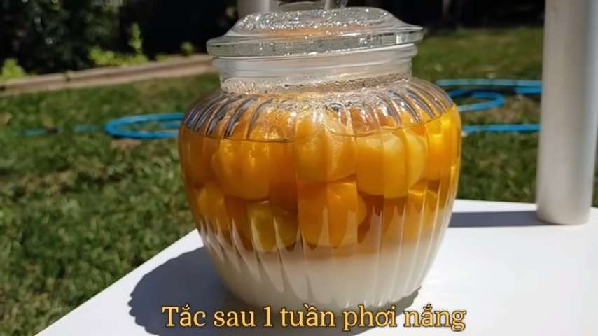 Tắc muối đường sau 1 tuần phơi nắng