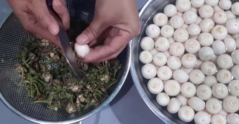 Sơ chế cà trắng