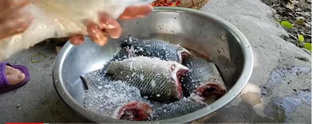 Cách làm khô cá rô phi đơn giản tại nhà mà ngon cực kỳ