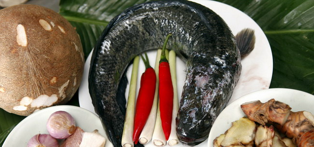 Bật mí cách làm cá kho tộ chuẩn vị Nam Bộ, ăn ngon đúng điệu
