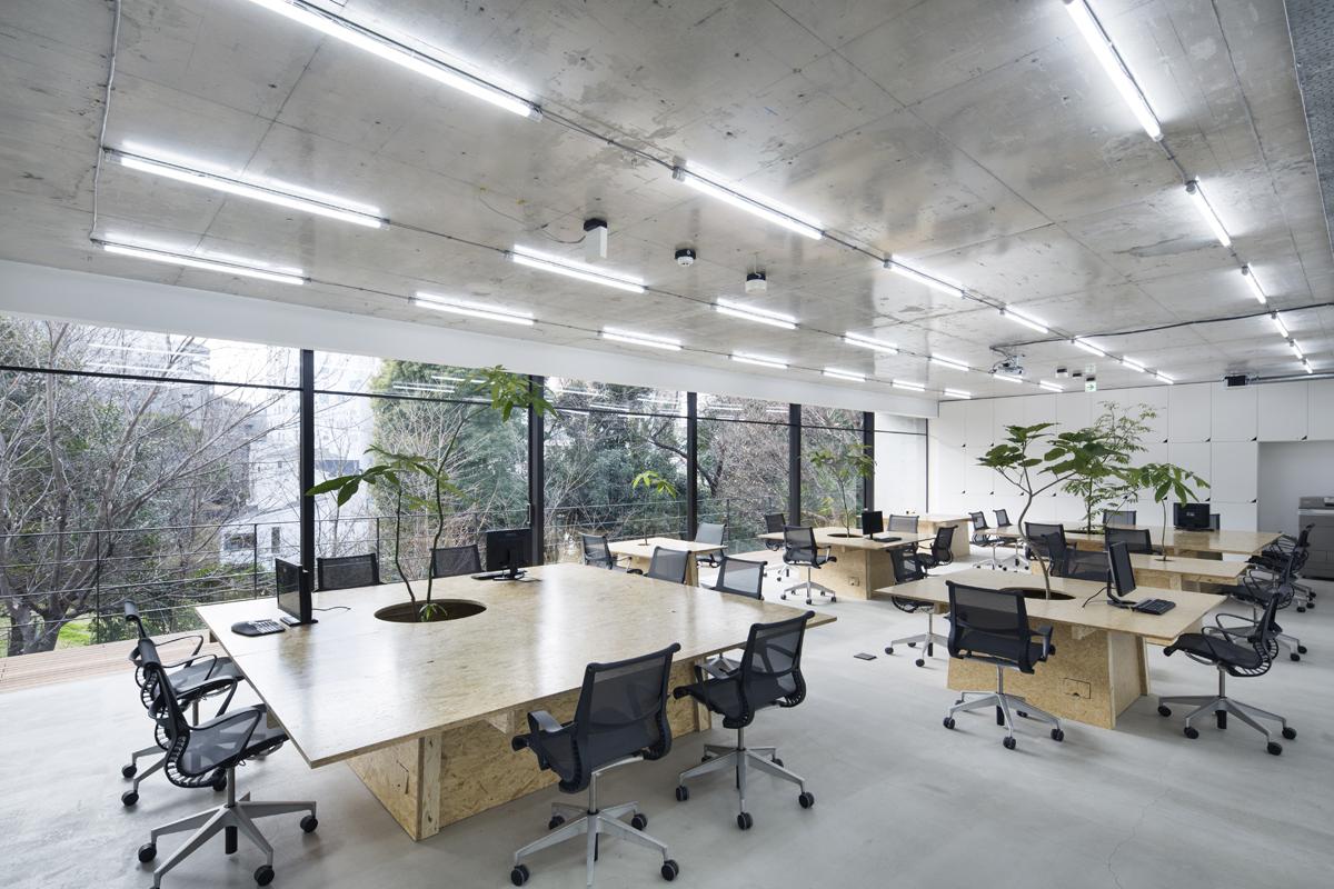 TỐI ƯU SỨC KHỎE & CHẤT LƯỢNG SỐNG