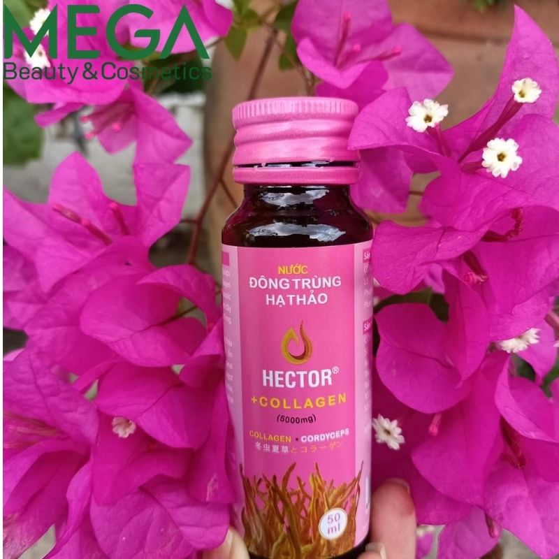 Nước đông trùng hạ thảo Hector Collagen 3