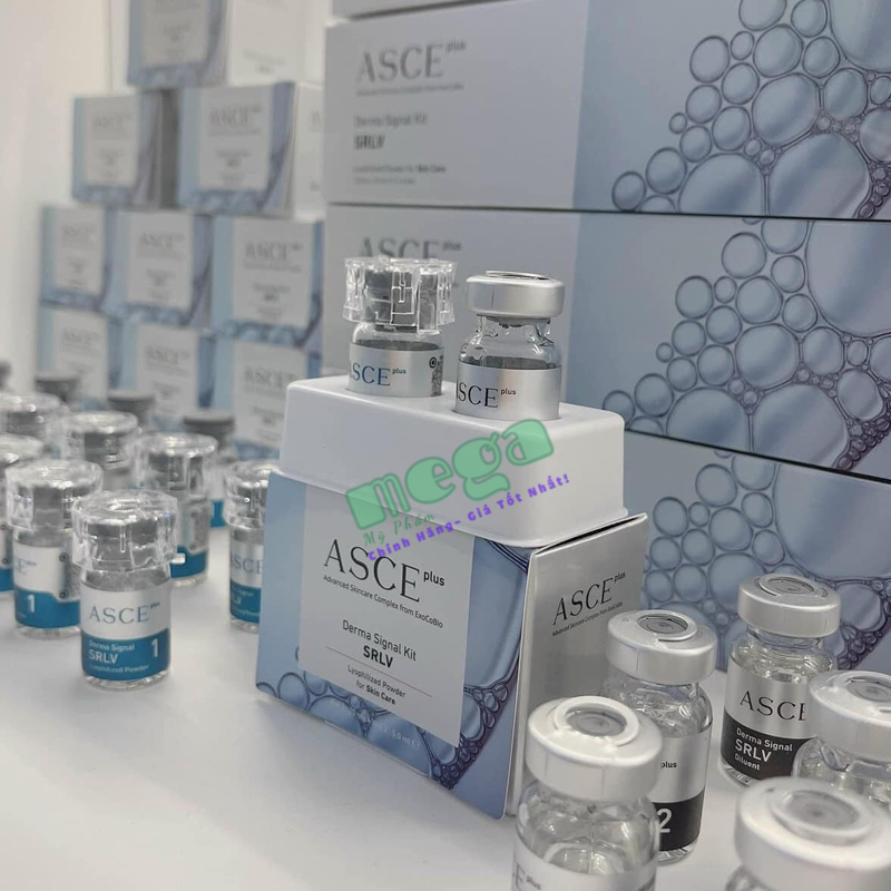 Exosome Asce+ Signal Kit 