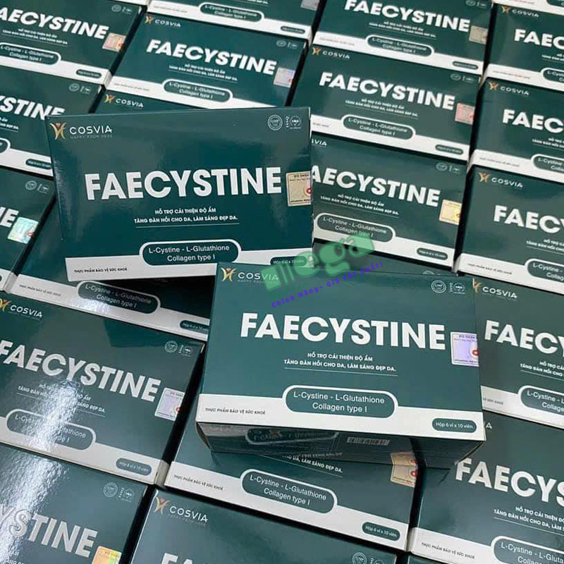 Viên Uống Thực Phẩm Faecystine