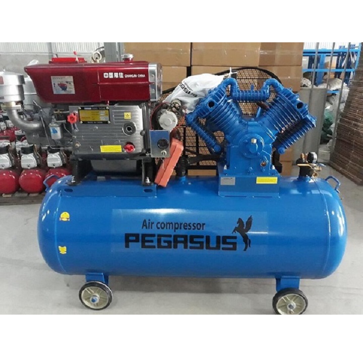 Máy Nén Khí Đầu Nổ Chạy Dầu Pegasus 10HP TM-W-1.0/8-500L