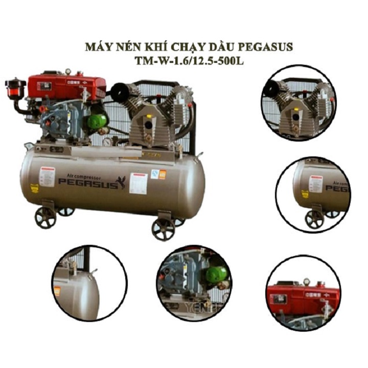 Máy Nén Khí Đầu Nổ Pegasus 15HP TM-W-1.6/12.5-500L 2