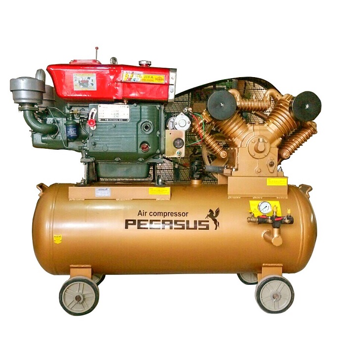 Máy Nén Khí Đầu Nổ Chạy Dầu Pegasus 20HP TM-W-2.0/8-500L