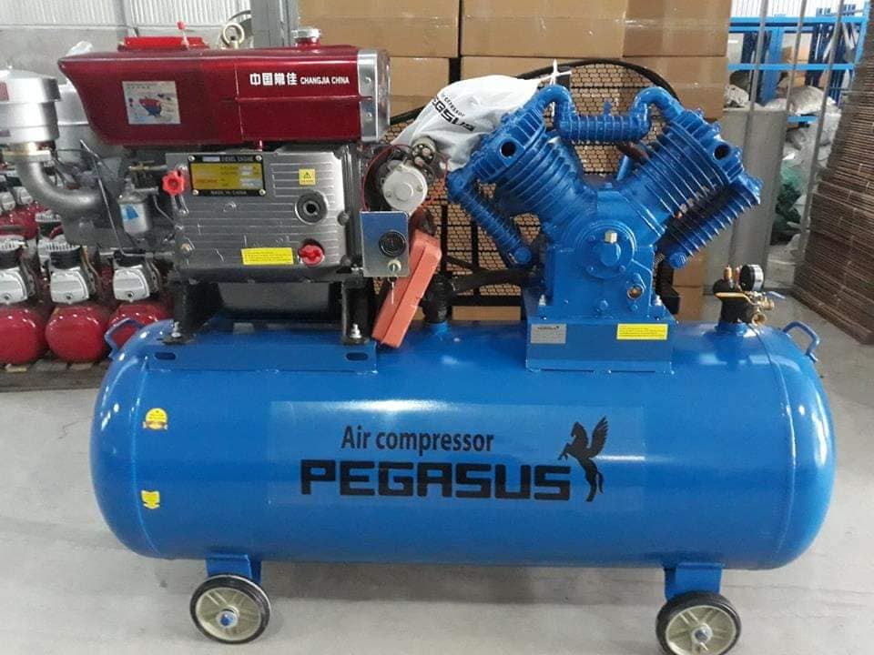 Máy Nén Khí Đầu Nổ Chạy Dầu Pegasus 10HP TM-V-1.05/12.5-500L 2