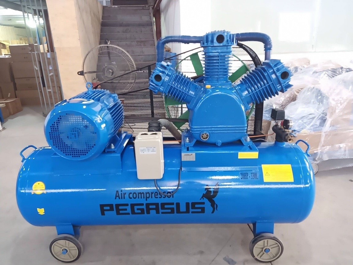 Máy Nén Khí Dây Đai Pegasus 20HP TM-W-2.0/12.5-330L 1