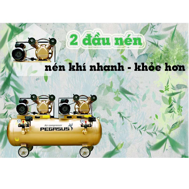 Máy Nén Khí Dây Đai Pegasus 3HP TM-V-0.25/12.5×2-230L