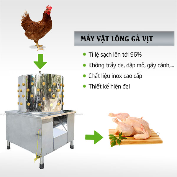 Máy Vặt Lông Gà Vịt 80cm Siêu Sạch