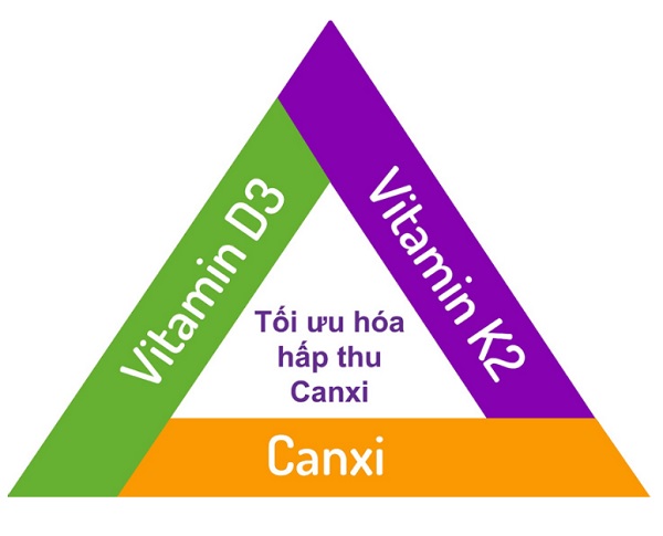 Bộ 3 canxi, D3K2 giúp tối ưu hóa hấp thu canxi vào xương