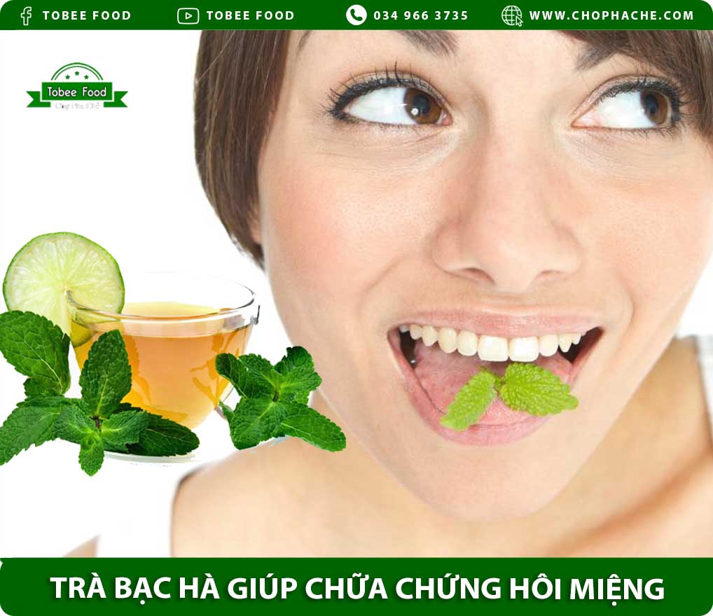 công dụng của trà bạc hà