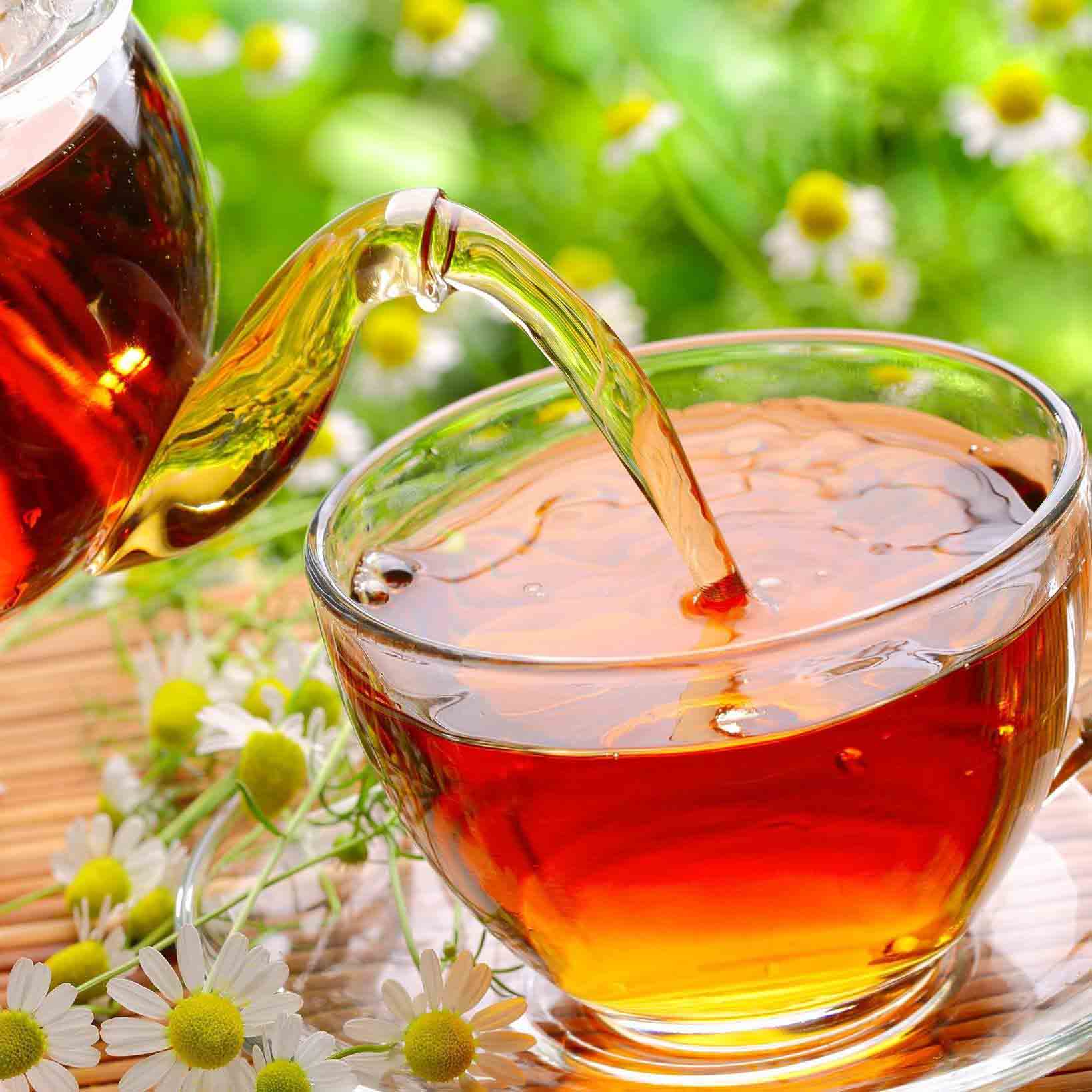 hồng trà đặc biệt túi lọc