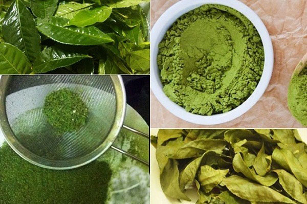 Làm bột trà xanh Matcha tại nhà