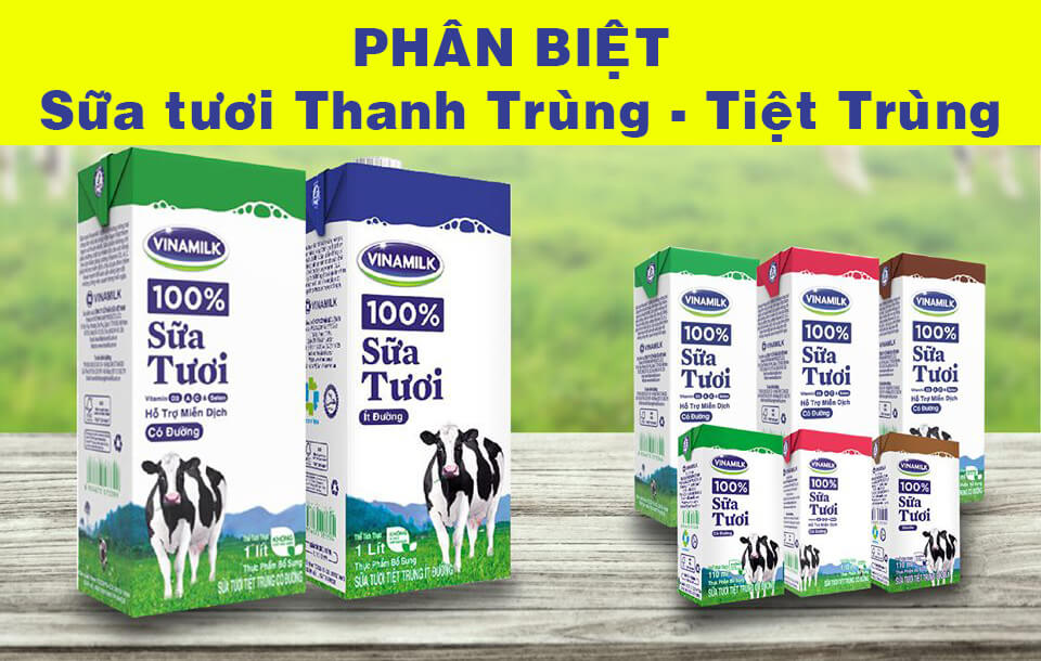 những lưu ý khi làm sữa tươi trân châu đường đen