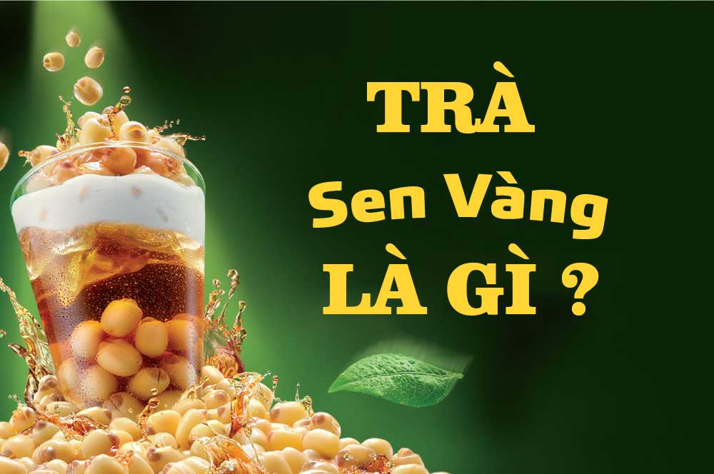 Trà Sen Vàng là gì ?