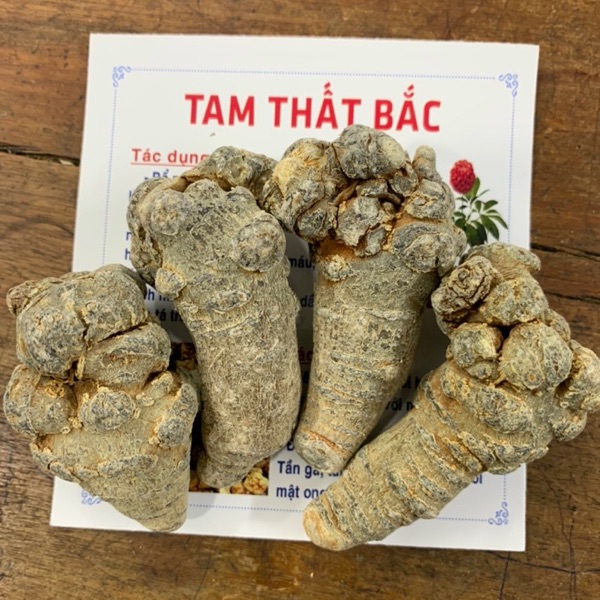 Giá củ tam thất