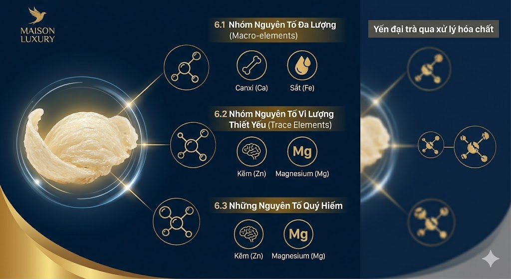 SỰ KHÁC BIỆT GIỮA YẾN SÀO MAISON LUXURY VÀ YẾN SÀO ĐẠI TRÀ