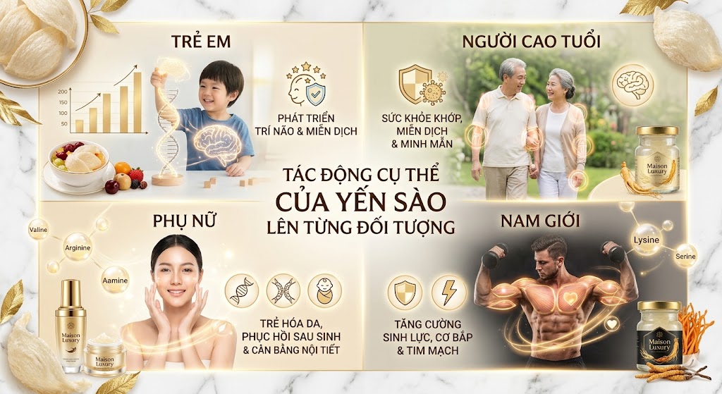 18 Loại Axit Amin Trong Yến Sào: "Chìa Khóa Vàng" Cho Sức Khỏe Toàn Diện