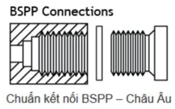 Kết nối Ren BSP