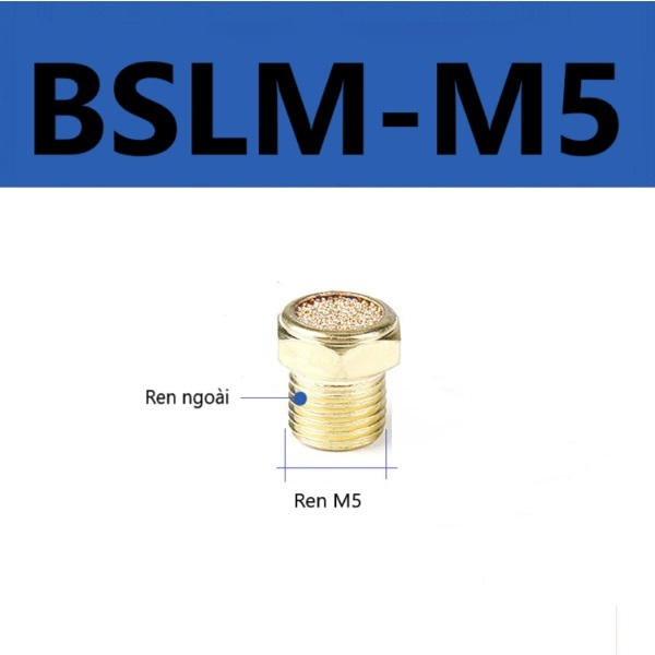 Giảm âm đồng BSLM M5: ren ngoài M5