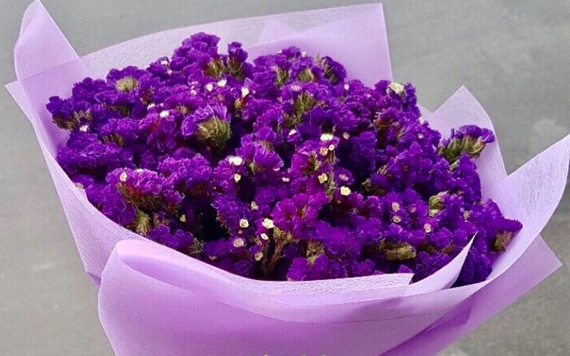dia-chi-cung-cap-dich-vu-dien-hoa-tuoi-vinh-long-uy-tin-nhat
