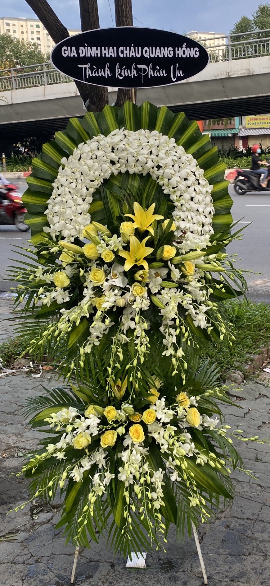 nhung-mau-hoa-chia-buon-the-hien-long-thanh-kinh