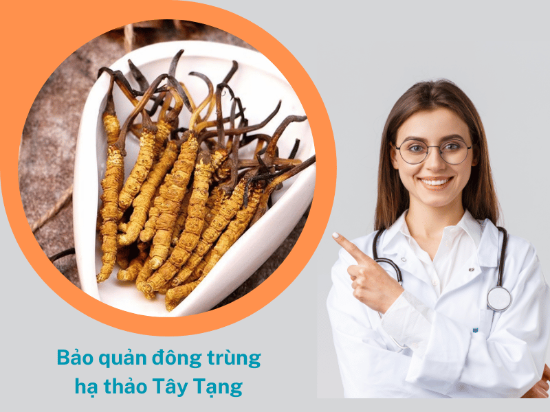 Bảo quản đông trùng hạ thảo Tây Tạng
