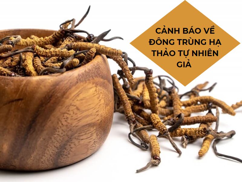 Cảnh báo đông trùng hạ thảo tự nhiên giả