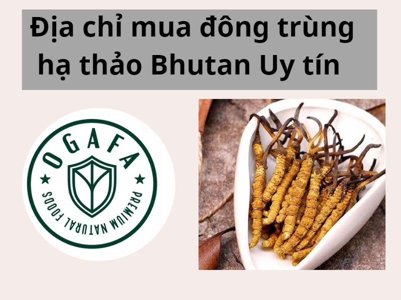 Địa chỉ mua đông trùng hạ thảo Bhutan