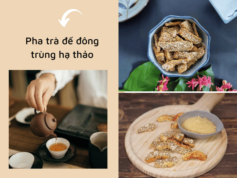 Pha trà đế đông trùng hạ thảo