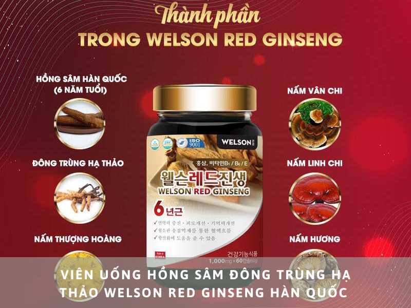 Viên uống hồng sâm đông trùng hạ thảo Welson Red Ginseng
