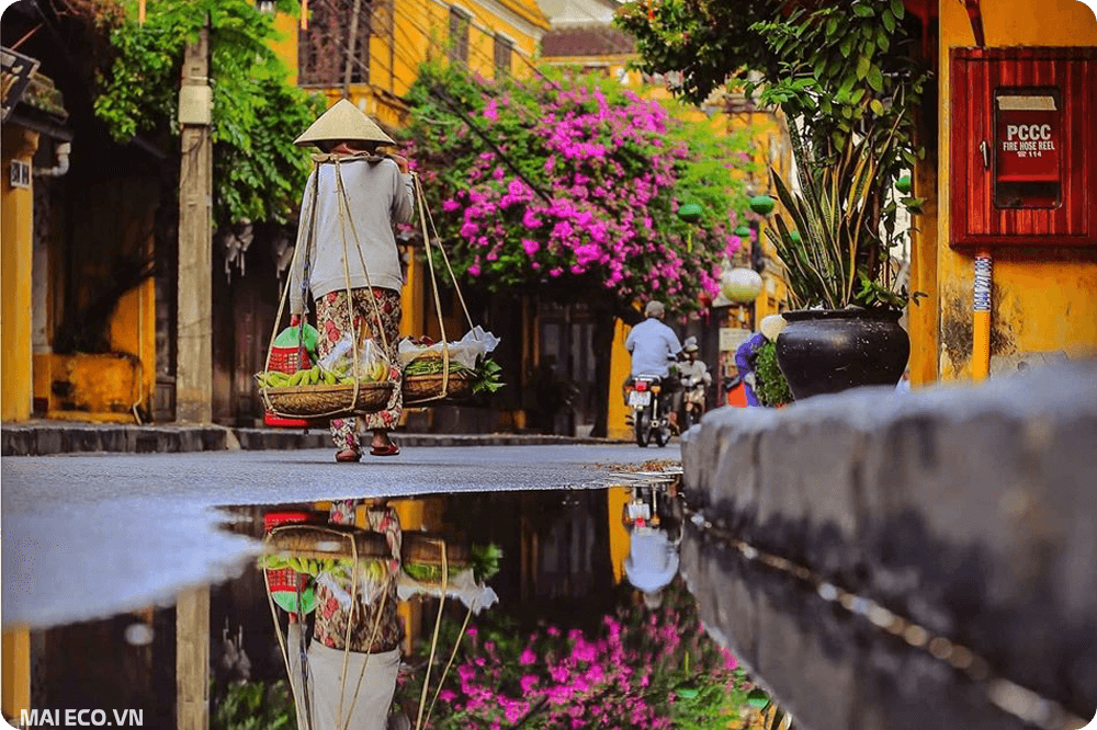 tour đà nẵng hội an