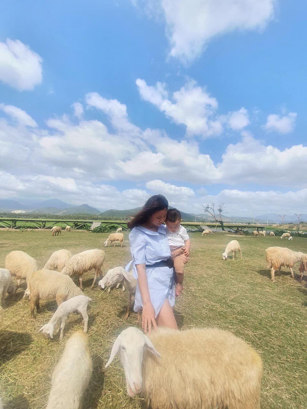 tour Đồng Cừu- Hang Rái- Vườn Nho- Bình Hưng