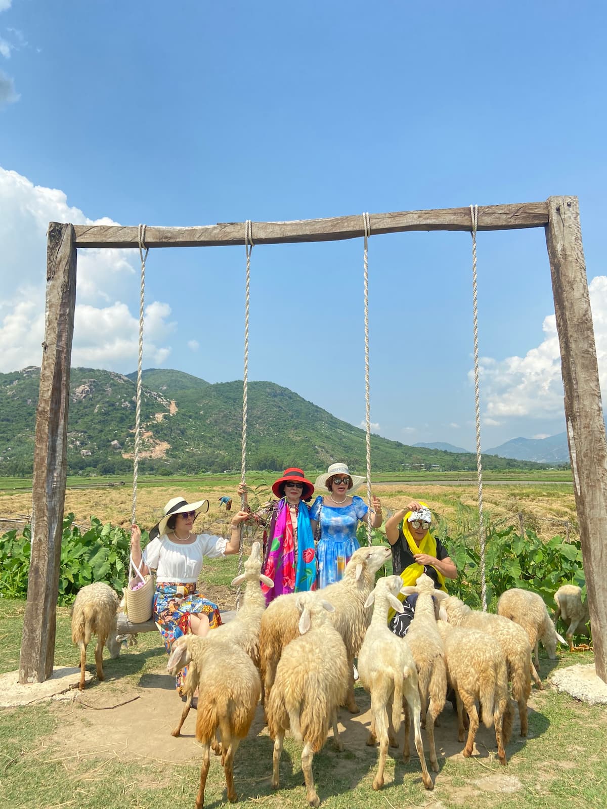 tour Đồng Cừu- Hang Rái- Vườn Nho- Bình Hưng