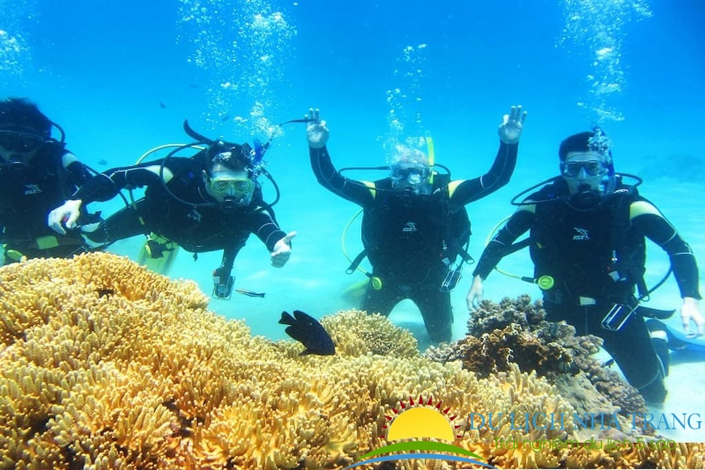 tour lặn biển nha trang