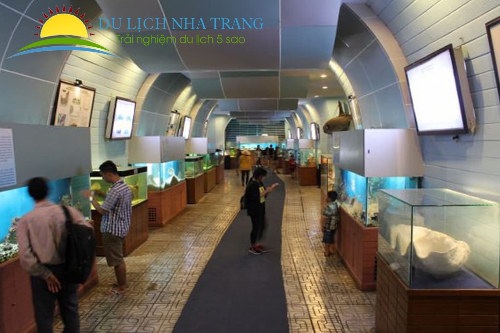 thuỷ cung viện hải dương học nha trang