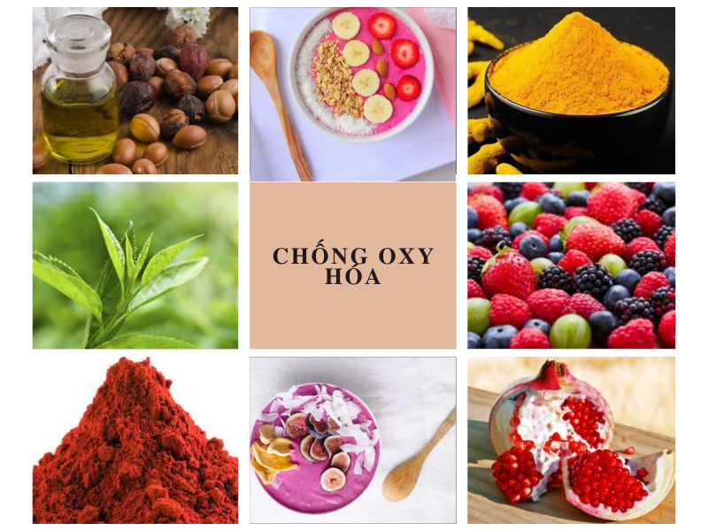 các chất chống oxy hóa 