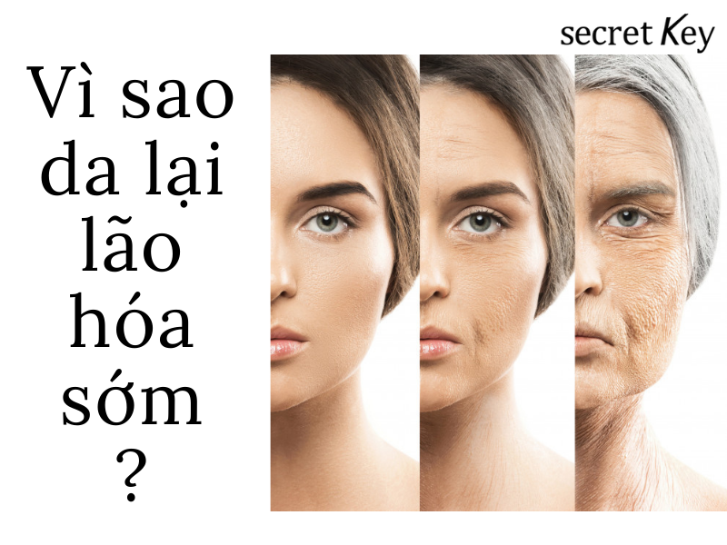 vì sao da lại bị lão hóa sớm?