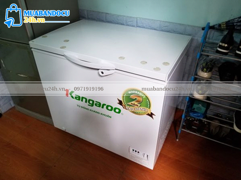 mua tủ cấp đông cũ Hải Phòng