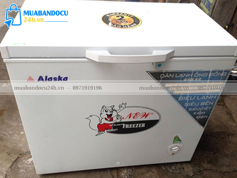 Mua tủ đông cũ