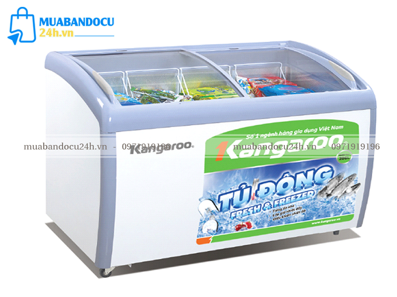 Mua tủ đông cũ
