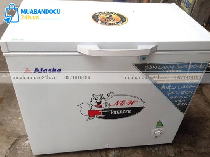 Mua tủ đông cũ