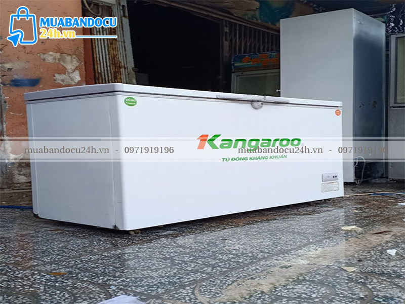 tủ đông 1300l cũ