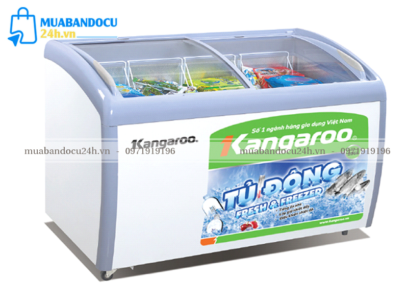 tủ đông cũ Biên Hòa