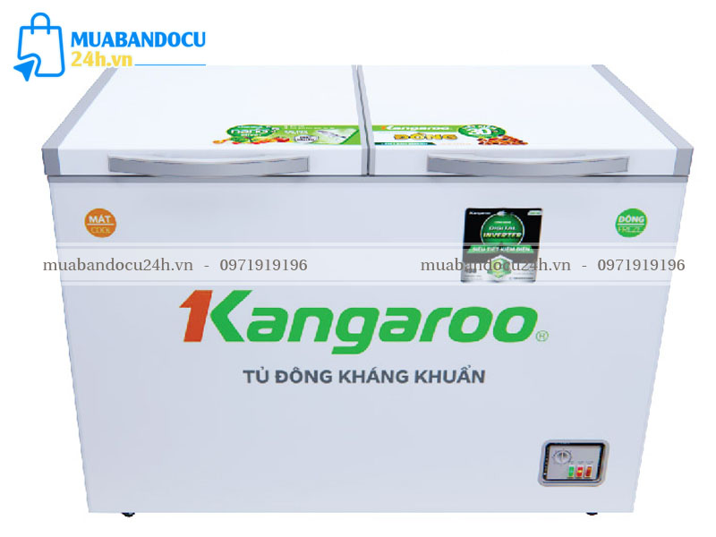 tủ đông kangaroo cũ